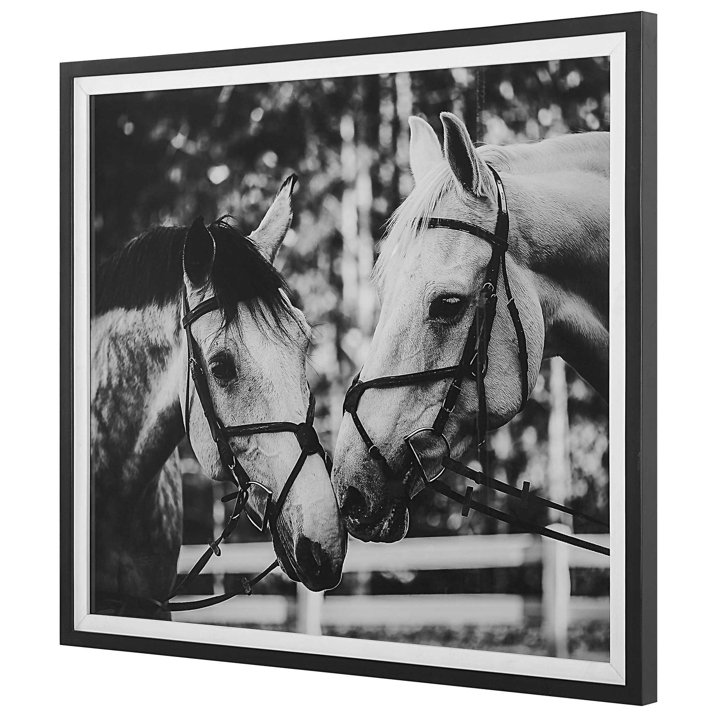 Apple Of My Eye Framed Print 41465